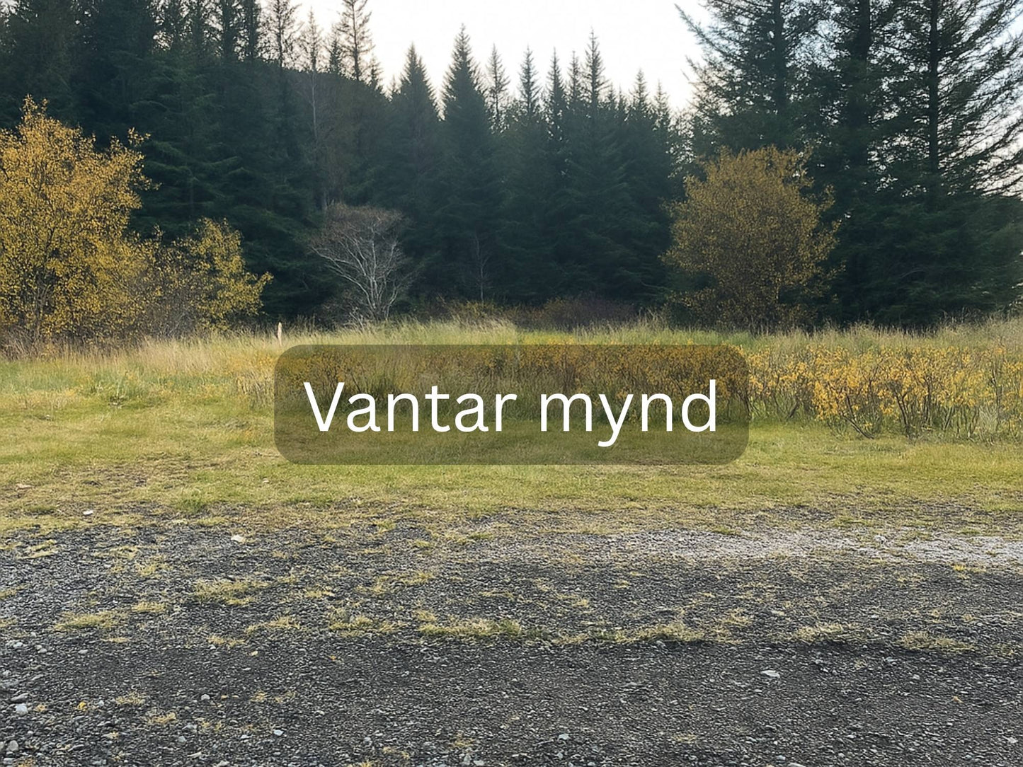 Ásdís – útiborð og bekkir 6 manna – 160 cm